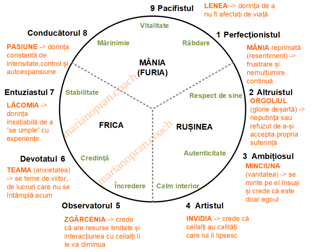 Compulsiuni & Virtuți